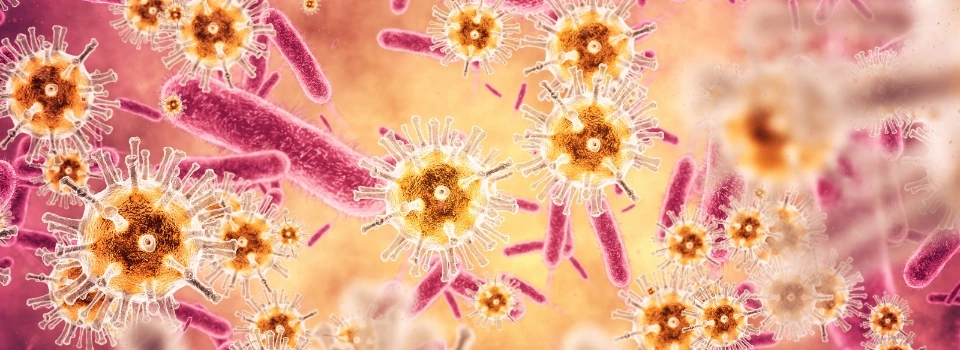 bakterie i wirusy